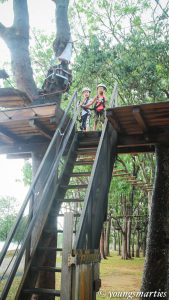 Read more about the article Our little adventure at Forest Adventure!