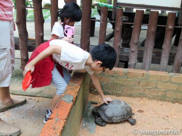 Unschooling: Road Trip to Gopeng (Part 3)