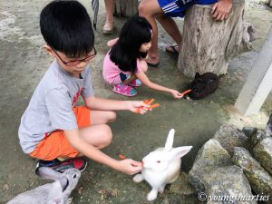 Read more about the article Unschooling: Road Trip to KL Rabbit Fun Land (Finale)
