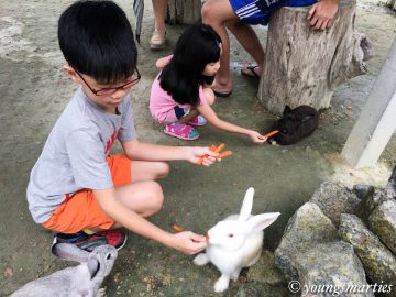 Unschooling: Road Trip to KL Rabbit Fun Land (Finale)