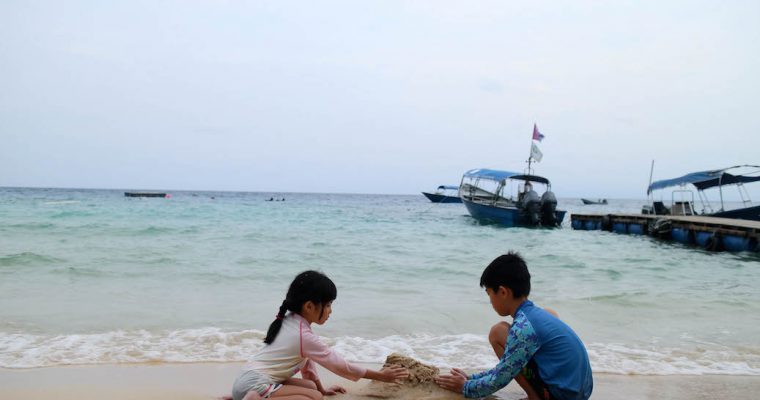 Home Learning Trip Part 1: Learning more about turtles and nature (with home learning and travel tips)