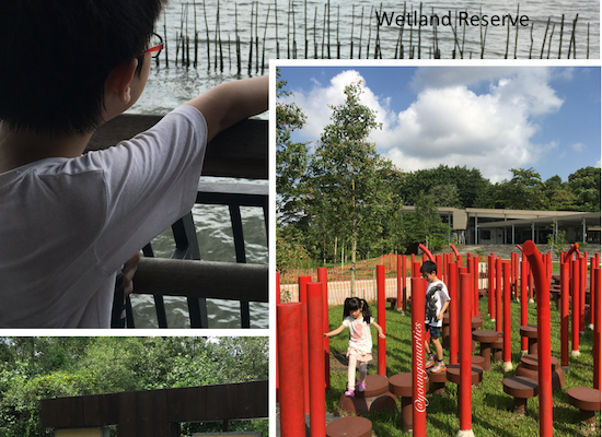 Nature Exploration at Sungei Buloh Wetland Reserve