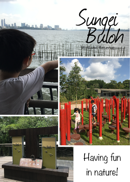 You are currently viewing Nature Exploration at Sungei Buloh Wetland Reserve