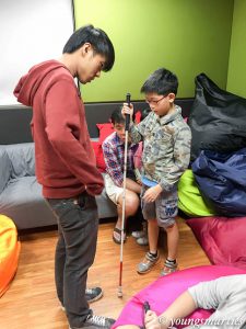 Learning about the walking stick