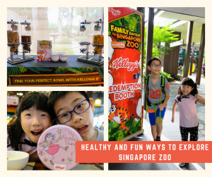 Read more about the article Healthy and fun ways to explore Singapore Zoo