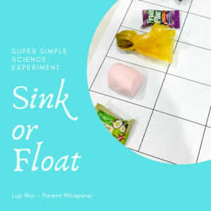 Read more about the article Easy Science Experiment: Sink or Float