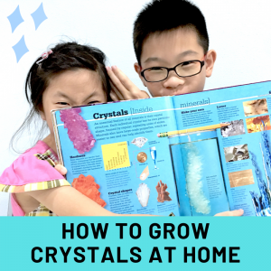 Read more about the article How to grow crystals at home